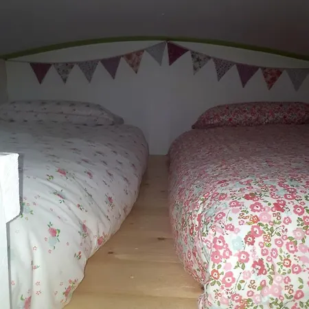 Acorn Wood Glamping