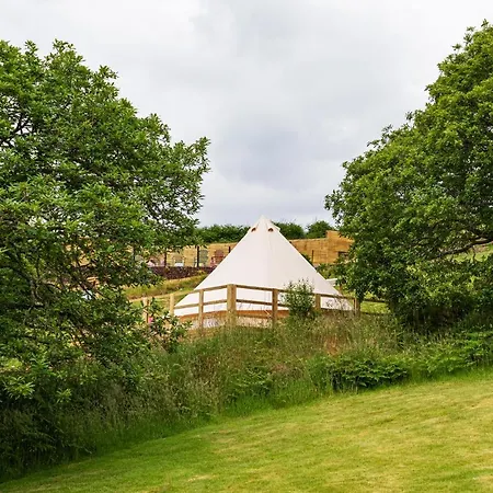 Acorn Wood Glamping * Carrowkennedy
