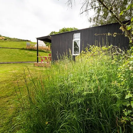 샬레 Acorn Wood Glamping Carrowkennedy