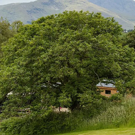 샬레 Acorn Wood Glamping Carrowkennedy