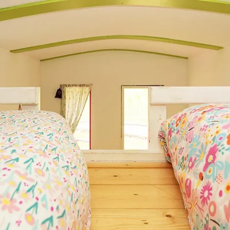 Acorn Wood Glamping