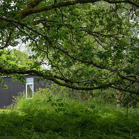 Acorn Wood Glamping 샬레