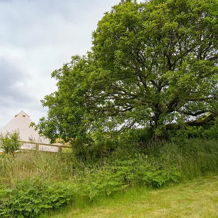 Acorn Wood Glamping * Carrowkennedy