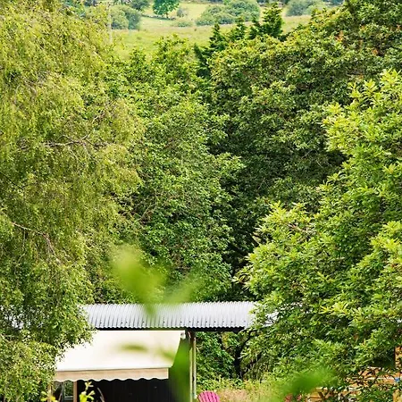 Acorn Wood Glamping