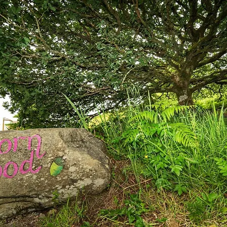 Acorn Wood Glamping 샬레 *